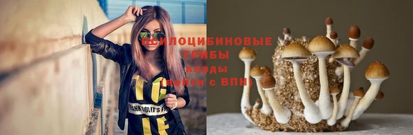скорость Алзамай