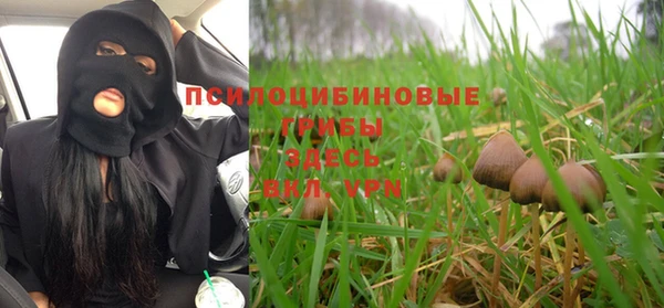 героин Алексин