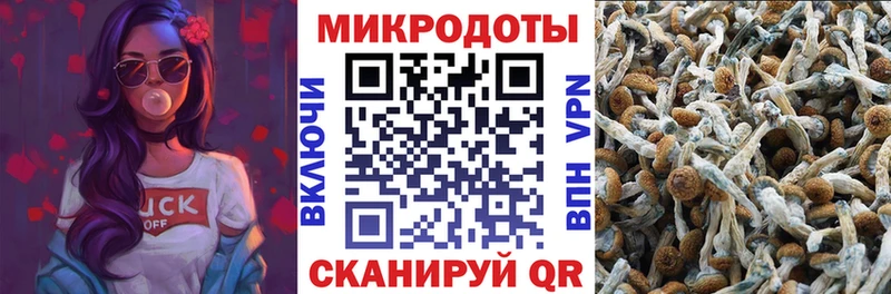 Псилоцибиновые грибы MAGIC MUSHROOMS  где найти наркотики  Тихвин 